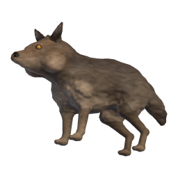 Pup