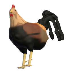 Old Rooster