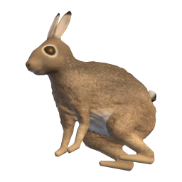 Leveret