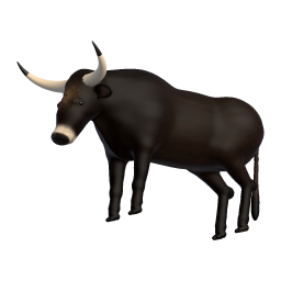 Bull