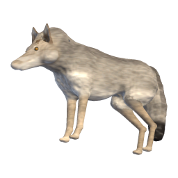 Old Wolf