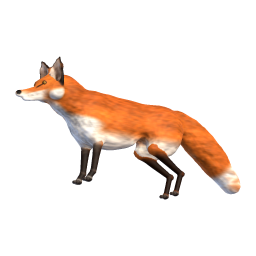 Fox