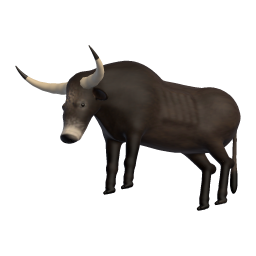 Old Bull