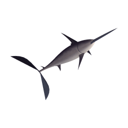 Swordfish