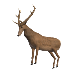 Old Stag