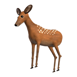 Fawn