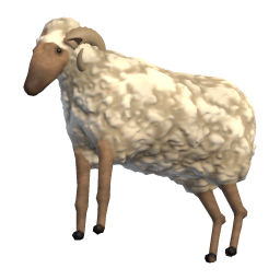 Ram