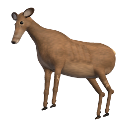 Old Hind