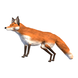 Young Vixen