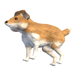 Puppy