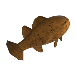 Cooked Grouper