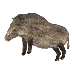 Old Sow