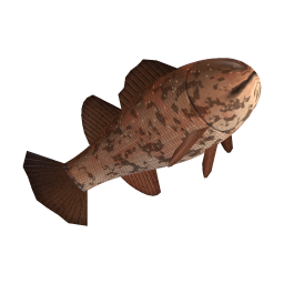 Grouper