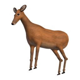 Young Stag