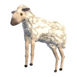 Lamb