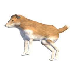 Old Dog