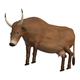 Old Cow