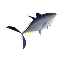 Tuna