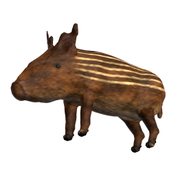 Piglet