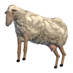 Old Ewe
