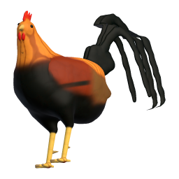 Rooster
