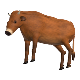 Heifer